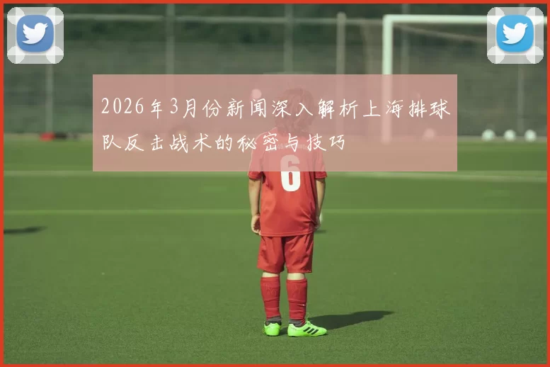 2026年3月份新闻深入解析上海排球队反击战术的秘密与技巧