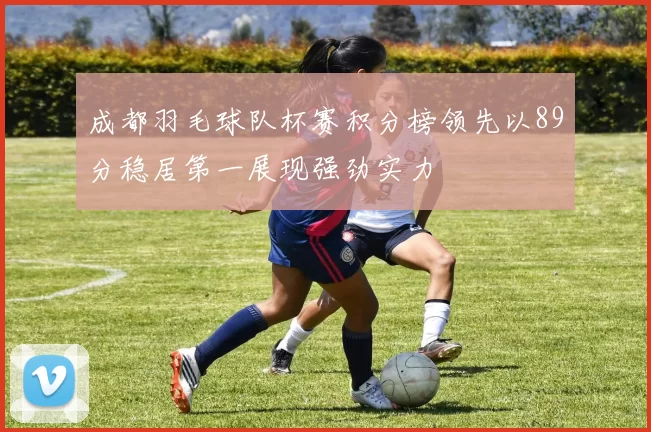 成都羽毛球队杯赛积分榜领先以89分稳居第一展现强劲实力
